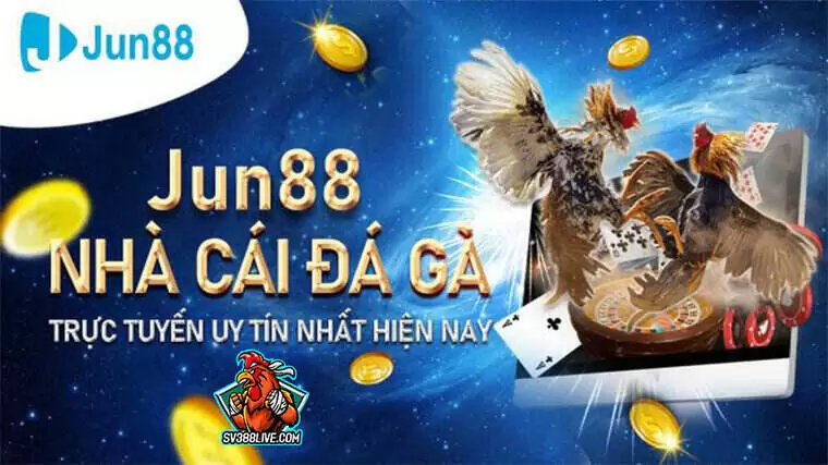 Hướng dẫn đá gà online tại casino Jun88